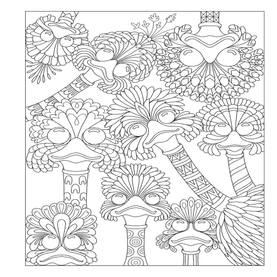 Creative Haven: Fanciful Birds Coloring Book-Softcover {7}