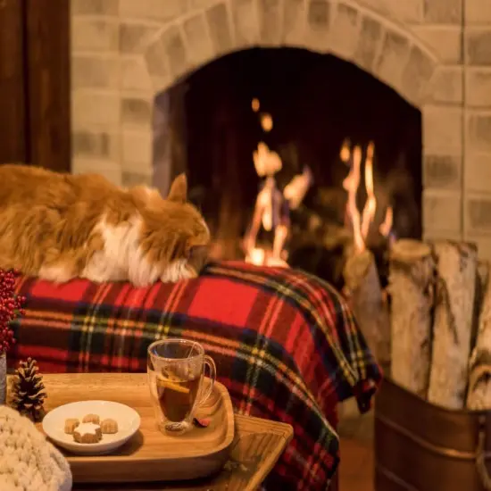 Cozy Cabin - Premium Fragrance Oil {1}