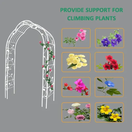 8-in-1 Freestanding Metal Garden Arch Arbor Trellis {2}