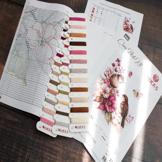 The Birds- Spring B2420l Counted Cross-Stitch Kit {5}