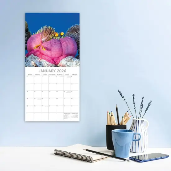 The Gifted Stationary 2026 Square Wall Calendar, Under the Sea, 16-Month Natural World Theme Hanging Calendar with 180 Reminder Stickers, Month Planner for Home, or Creative Spaces, 12x12 In Multicolor {2}