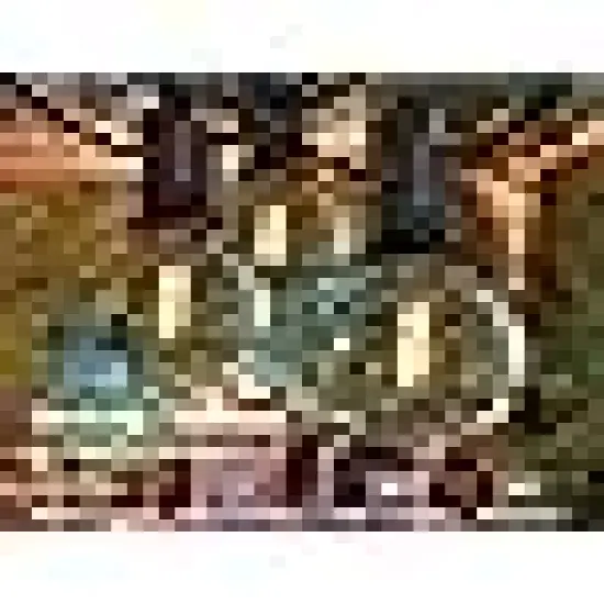 Brightown Outdoor String Lights {3}