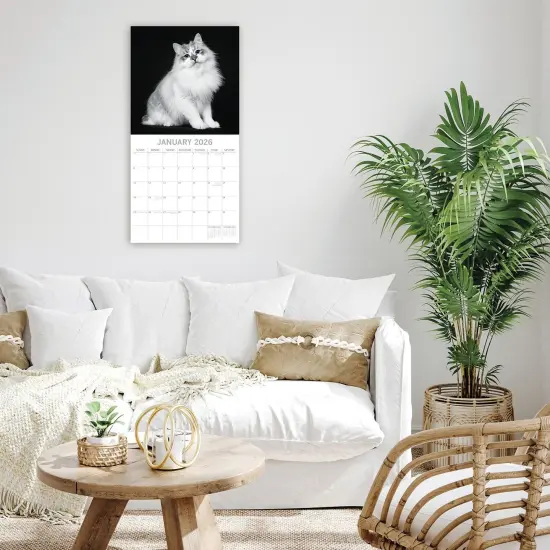 The Gifted Stationary 2026 Square Wall Calendar, Cat Portraits, 16-Month Black and White Photos with 180 Reminder Stickers (12 x 12 In) Multicolor {2}