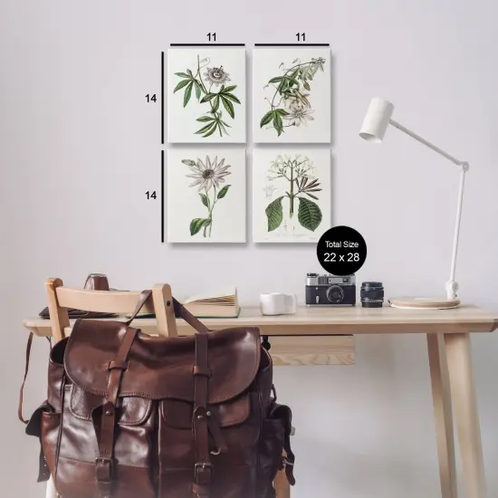 Stupell Industries Various Vintage Botanicals 4pc Canvas Set Design by CAD Design {3}