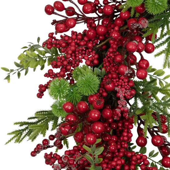 Northlight Artificial Frosted Red Berry and Pine Christmas Wreath, 28-Inch, Unlit Green {6}