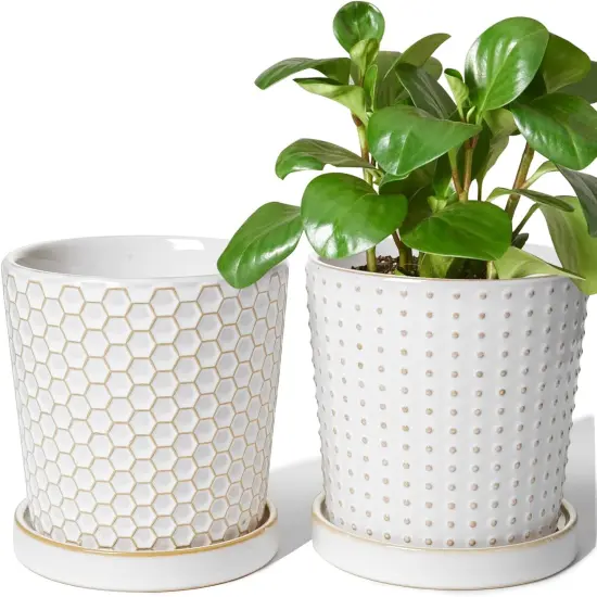 Set of 2 5.4 Inch Ceramic Planters with Drainage Hole and Saucer (C&D Embossed Pattern) {1}