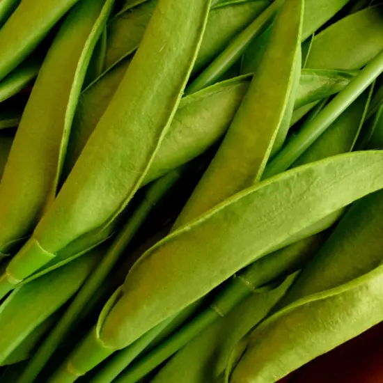 10pcs Artificial Yellow Tulips Faux Tulip Bouquet Real Touch Fake Flowers for Spring Mother's Day Easter Wedding Home Decoration {4}