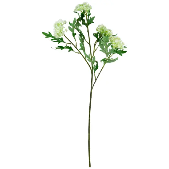 Northlight Finch Laceflower Artificial Floral Sprays- 27" - White and Green - Set of 6 {4}