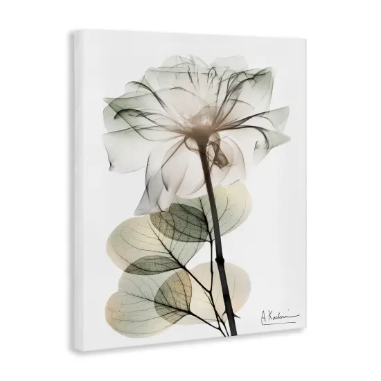 Stupell Industries Modern Minimalist Buds Canvas Design by Albert Koetsier {3}