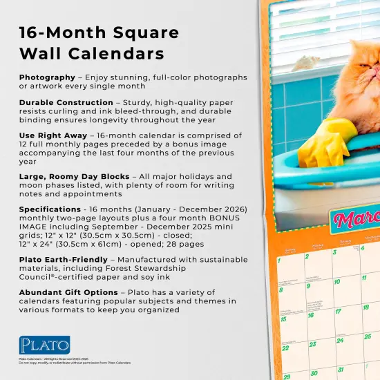 Avanti Cranky Kitties OFFICIAL | 2026 12 x 24 Inch (Hanging) Monthly Square Wall Calendar {6}
