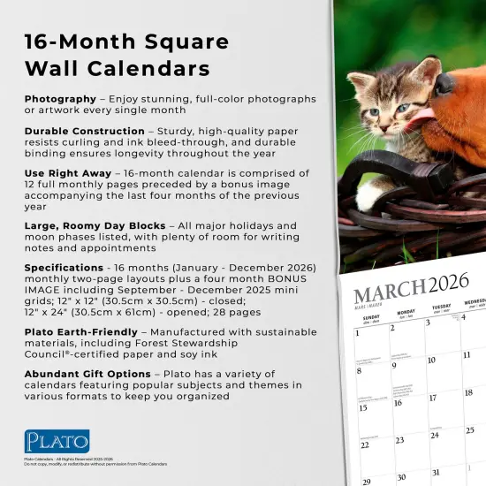 Kittens & Puppies | 2026 12 x 24 Inch (Hanging) Monthly Square Wall Calendar | Foil Stamped Cover {6}