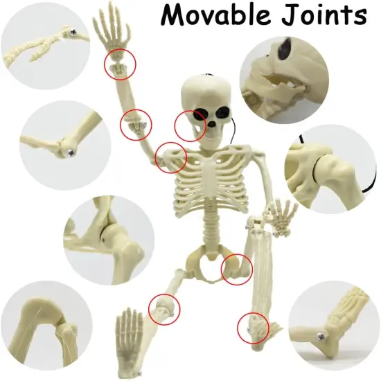 4PCS 16" Halloween Skeleton Decorations {2}