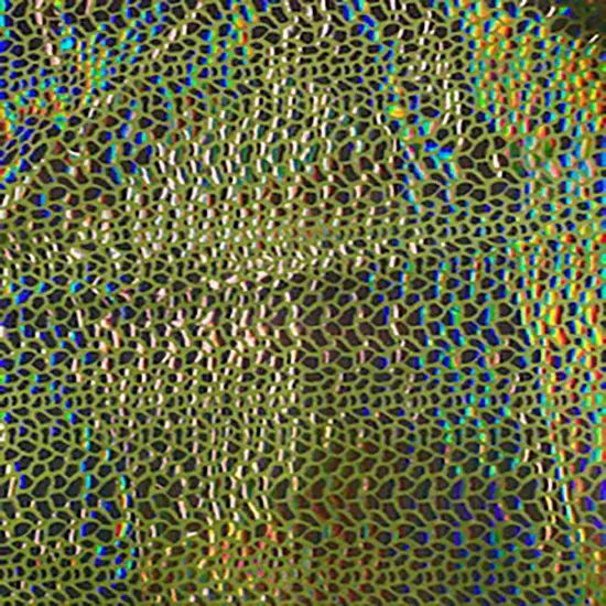 1 Yard Nylon Spandex Fabric with Cobra Hologram Glued Sequin 58/60 Inch Width Neon Lime Silver {1}