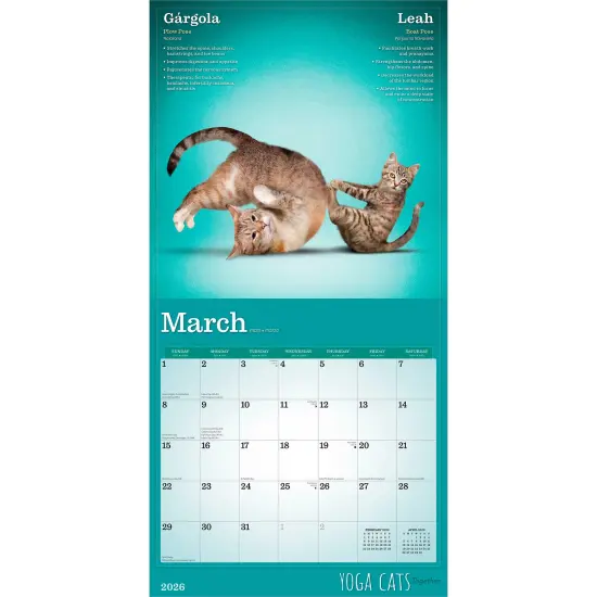 Yoga Cats Together OFFICIAL | 2026 12 x 24 Inch (Hanging) Monthly Square Wall Calendar {3}