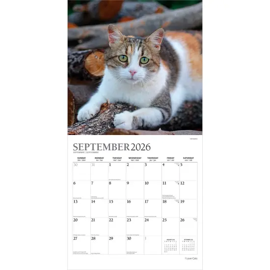 I Love Cats | 2026 12 x 24 Inch (Hanging) Monthly Square Wall Calendar | Foil Stamped Cover {4}