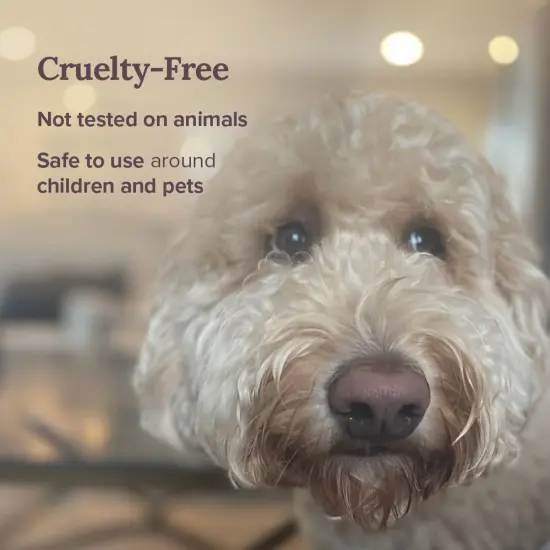 Magnificent 101 Set of 3 Long-Lasting Money Financial Freedom Smudge Candles | 3.5 Oz Each - 42 Hour Burn | Made of Soy Wax, Sage Herbs for House Energy Cleansing & Manifestation Multicolor {5}