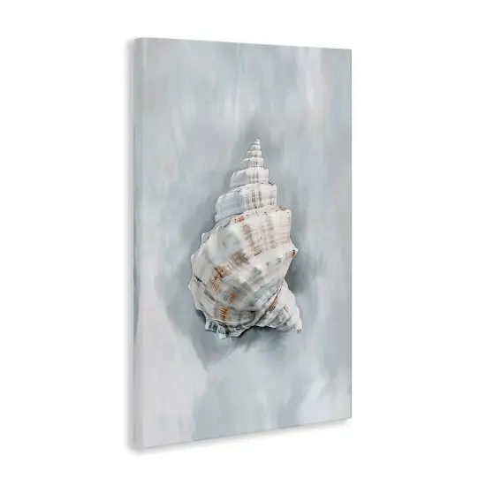 Stupell Industries Conch Seashell Mirage Canvas Design by Ramona Murdock {3}