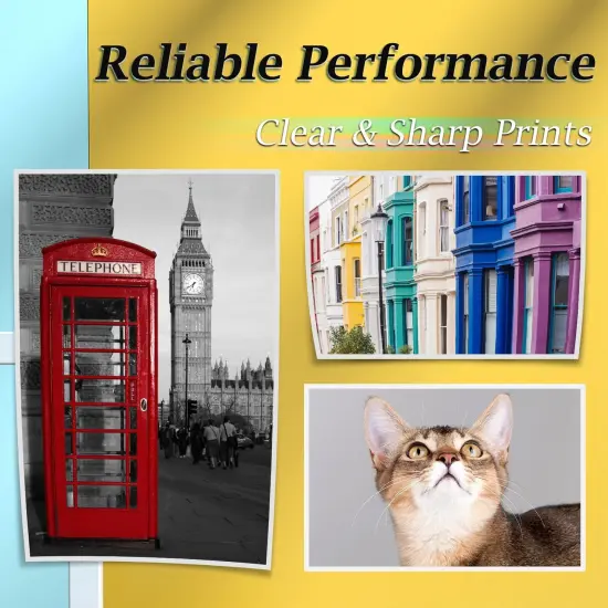 6-Color 100ml Ink Cartridge Refill Kit for Canon PG243/245/275 & CL244/246/276 XL PIXMA {3}