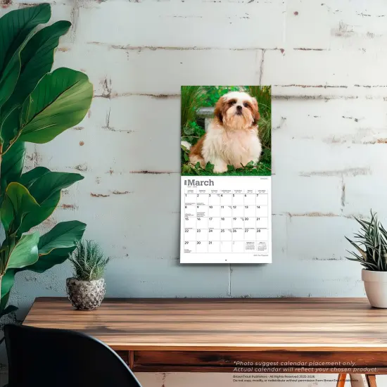 Shih Tzu Puppies | 2026 7 x 14 Inch (Hanging) Monthly Mini Wall Calendar {5}