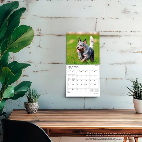 Blue Heelers | 2026 7 x 14 Inch (Hanging) Monthly Mini Wall Calendar {5}