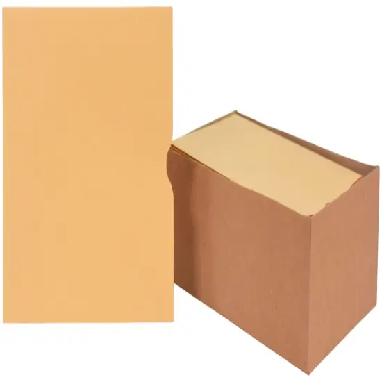 School Smart Report Card Envelope, 28 lb, 6 x 9 Inches, Kraft, Pack of 100 {1}