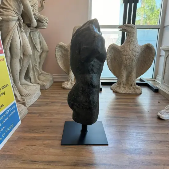 Aged Black Finish Andrea Male Torso Life Size Statue {4}