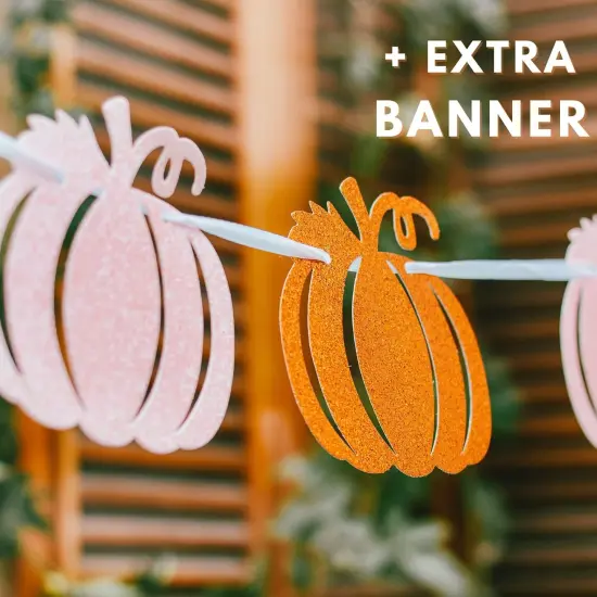 Pumpkin Happy Birthday Banner - Pink and Orange Garland for Girls or Kids {3}