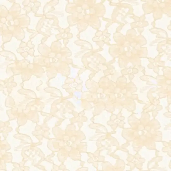 1 Yard Ivory Raschel Lace Fabric 58-60" Wide Floral Polyester for Bridal Gowns, Dresses, Decor & Crafts {1}