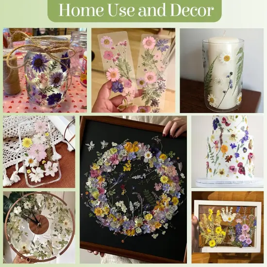 86Pcs Pressed Dried Flowers w/ Tweezer - White {4}