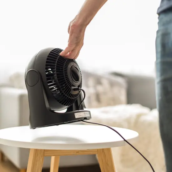 IRIS WOOZOO Circulator Fan, 5.5" Blade, Black {5}