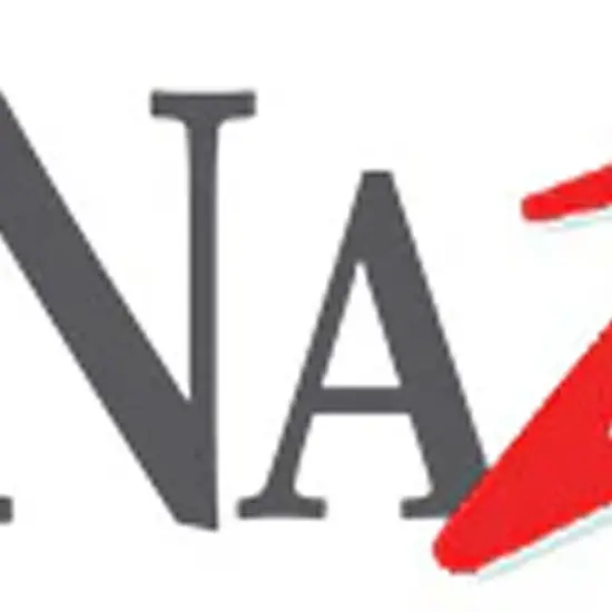 Nazdar NB72 Catalyst {4}