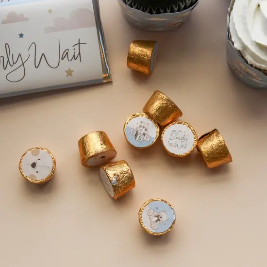 Big Dot of Happiness We Can Bearly Wait - Teddy Bear Baby Shower Round Candy Sticker Favors - Labels Fit Chocolate Candy (1 sheet of 108) {4}