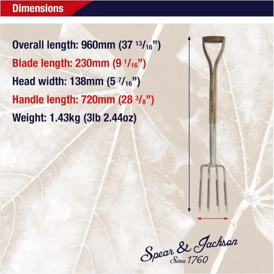 Spear & Jackson Traditional Stainless Steel Border Fork, Durable Heavy Duty Garden Tool, Ideal for Aerating Weeding and Digging, Comfortable Wooden Handle {6}