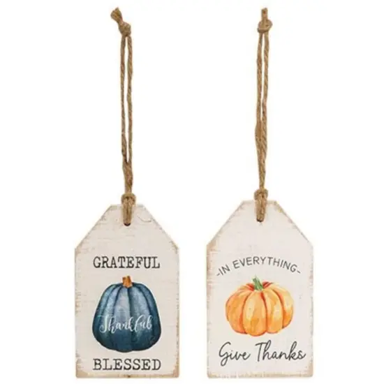 Rustic Autumn Wooden Tags with Pumpkin Graphics and Gratitude Quotes Jute Rope Hanging Tags 2 Asstd. {1}