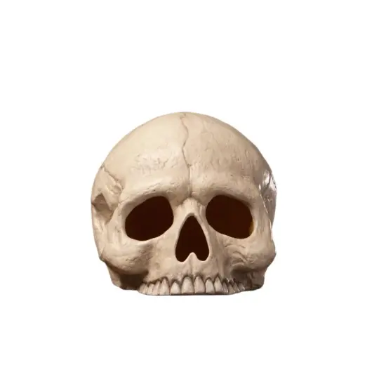 BETHANY LOWE SKULL VOTIVE {1}