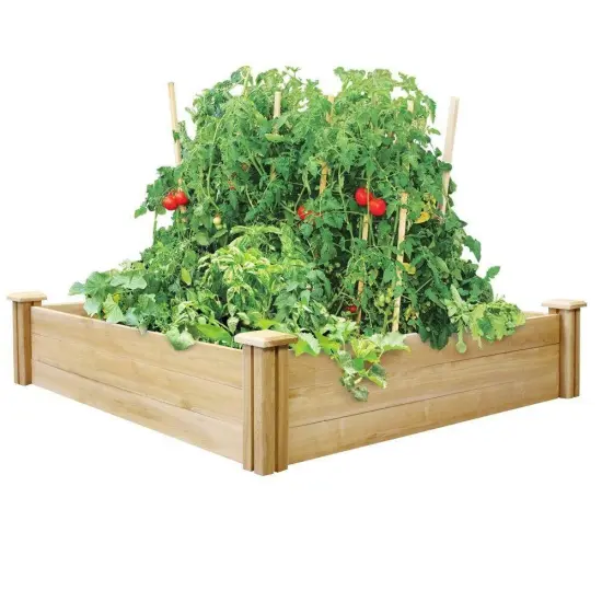 4ft x 4ft Cedar Wood Raised Garden Bed for Vegetables and Herbs Outdoors {1}