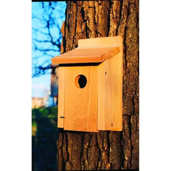 Brown Cedar Wood Bluebird House with Easy Clean Front Panel and Ventilation {3}