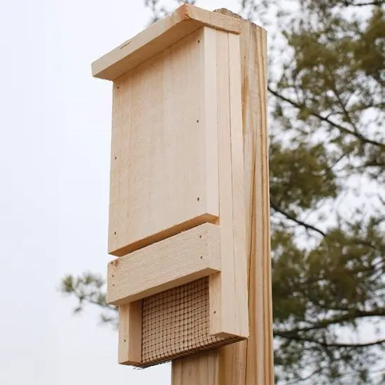 Natural Pine Wood Outdoor Bat House Kit for 12 Bats with Weather-Resistant Mounting {2}
