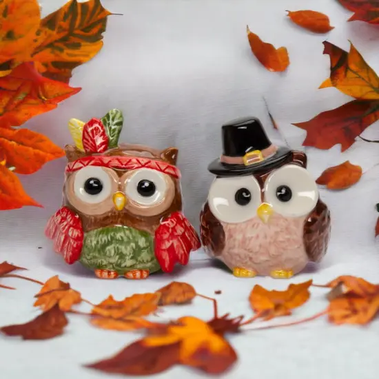 Ceramic Pilgrim And Indian Owl Salt And Pepper Shakers, Gift for Her, Gift for Mom, Kitchen D&eacute;cor, Fall D&eacute;cor, Thanksgiving D&eacute;cor {1}