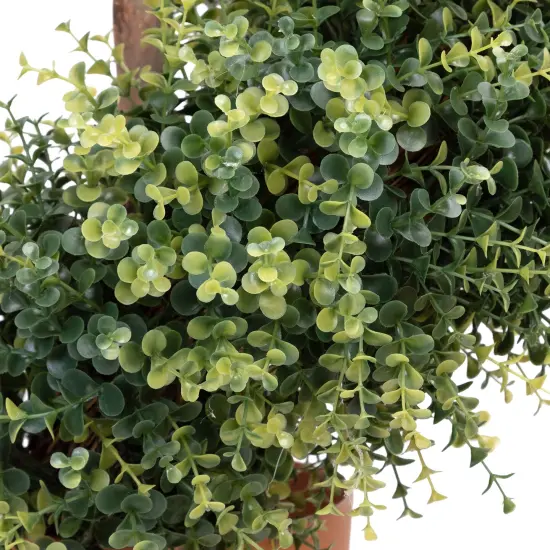 Northlight Potted Two Tone Artificial Boxwood Spiral Topiary Tree - 5.5' Green {7}