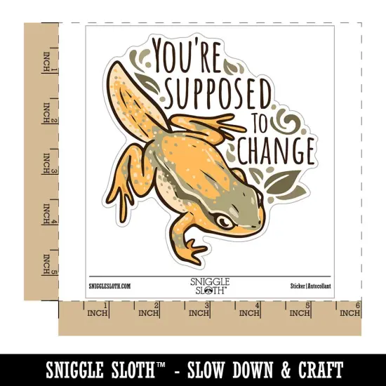 Water Bottle Sticker Set You're Supposed to Change Frog Motivation Cute Waterproof Vinyl Stickers Pack Decal, Skateboard, Laptop, Car, Window, Bumper - 5 Pack {1}