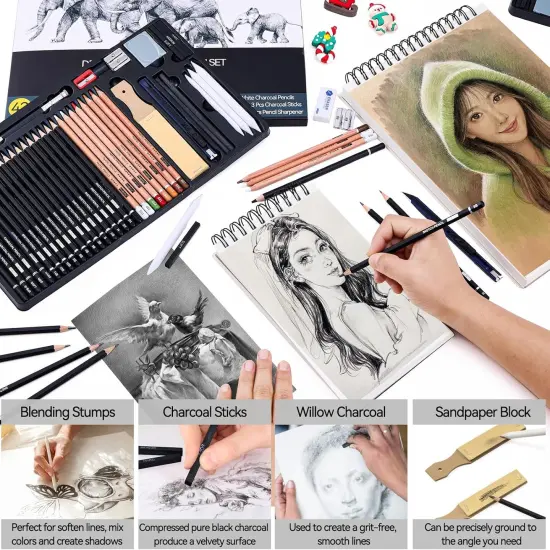 Drawing Sketching Pencil Set, 42 Pack Pro Art Pencil Kit with Graphite Pencils (14B-4H), Charcoal Pencil, Ideal for Shading, Blending, Drawing Set for Beginners & Pro Artists {5}