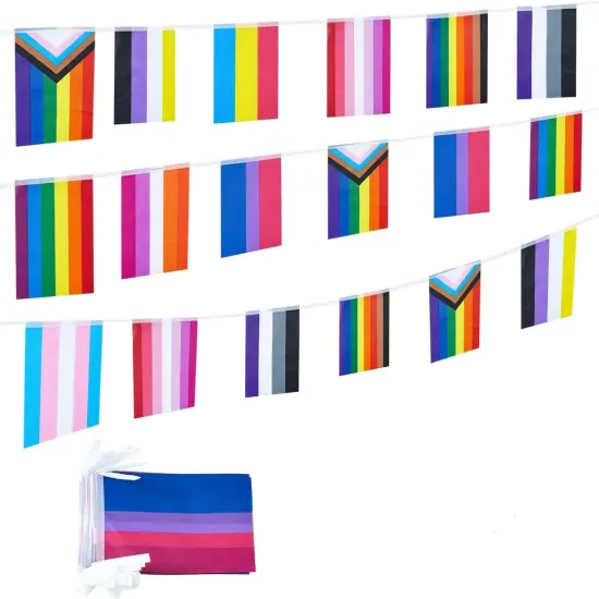 Pride Rainbow Flags Banner String Set,Small Mini Rainbow Gay LGBT Pennant Flag For Rainbow Party Festival Decorations {1}
