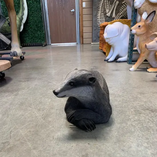 Laying Badger Life Size Statue {6}