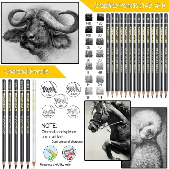 Drawing Sketching Pencil Set, 26 Pieces, Graphite Pencils (14B-4H), Charcoal Pencils, Charcoal Sticks, Blending Stump, Eraser, Sharpeners, Artist Pencils for Beginners & Pro Artists {3}