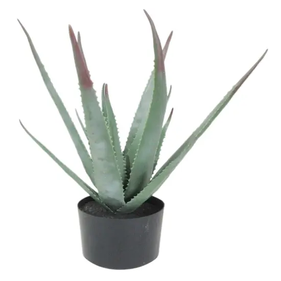 Artificial Potted Aloe Plant 20in {1}