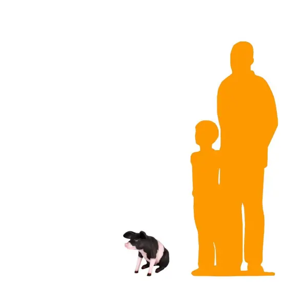 Baby Sitting Black And Pink Pig Life Size Statue {2}