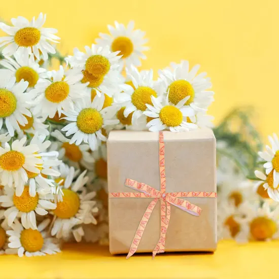 12 Rolls Groovy Retro Hippie Boho Ribbon Rainbow Butterfly Daisy Flower Craft Ribbon 60 Yards 3/8 Inch Printed Grosgrain Fabric Ribbon for Wreath Bow Making DIY Crafts Wrapping {4}