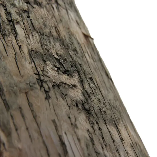 Handcrafted Rustic Wood Black Bear Lamp w/Decorative Bark Shade {6}