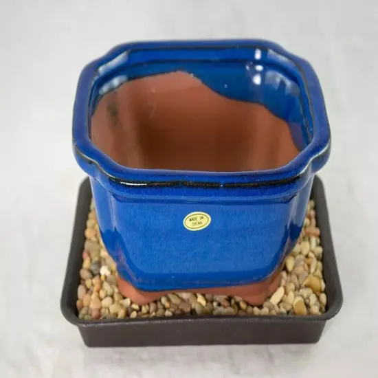 6" Rectangular Dark Blue Shohin Bonsai/Succulent Pot + Tray + Rock + Mesh Combo {3}